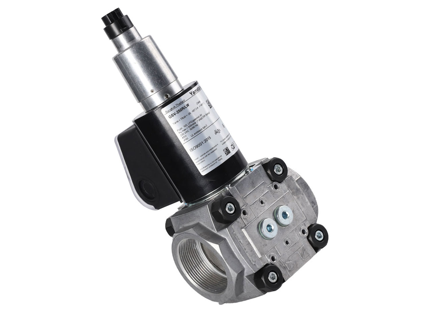 GSV-250R/LW (3)